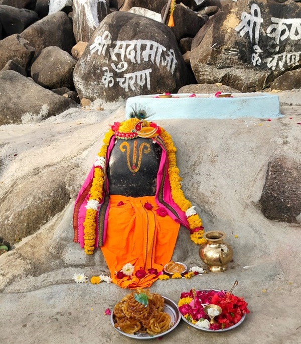 naidunia_image